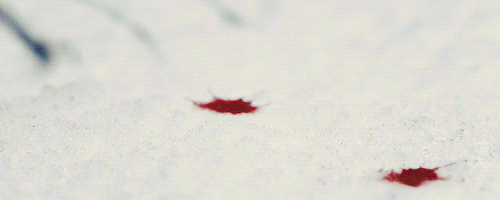 [HQ] Un bicho grande Blood-snow-1